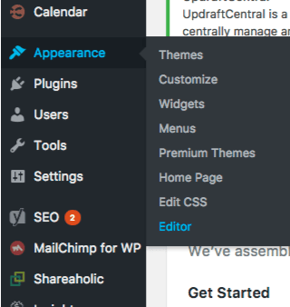  wordpress theme editor 
