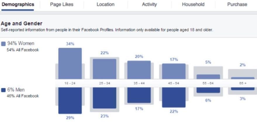  audience demographics 