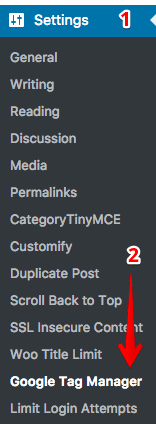  google tag manager plugin 