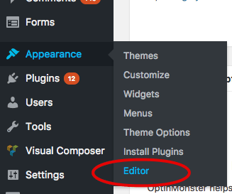  wordpress code editor 