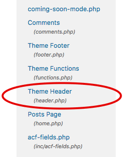  wordpress header file 