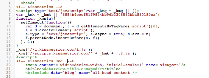 add kissmetrics code