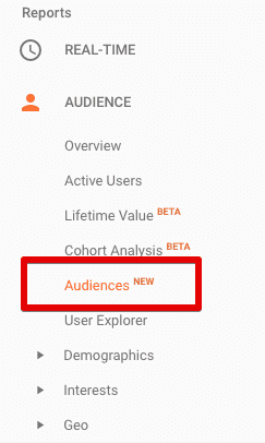 access google analytics audiences